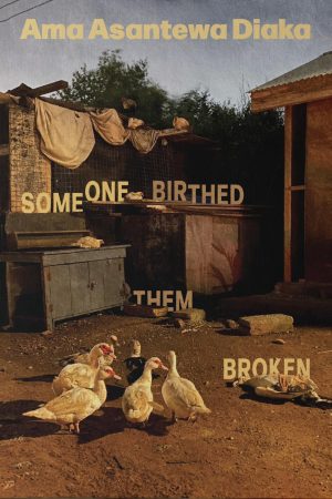 Someone Birth Them Broken